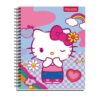 Cuaderno universitario proarte hello kitty 100 hojas 7MM